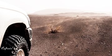 پیمایش در بیابان / راهنمایان بیابان
