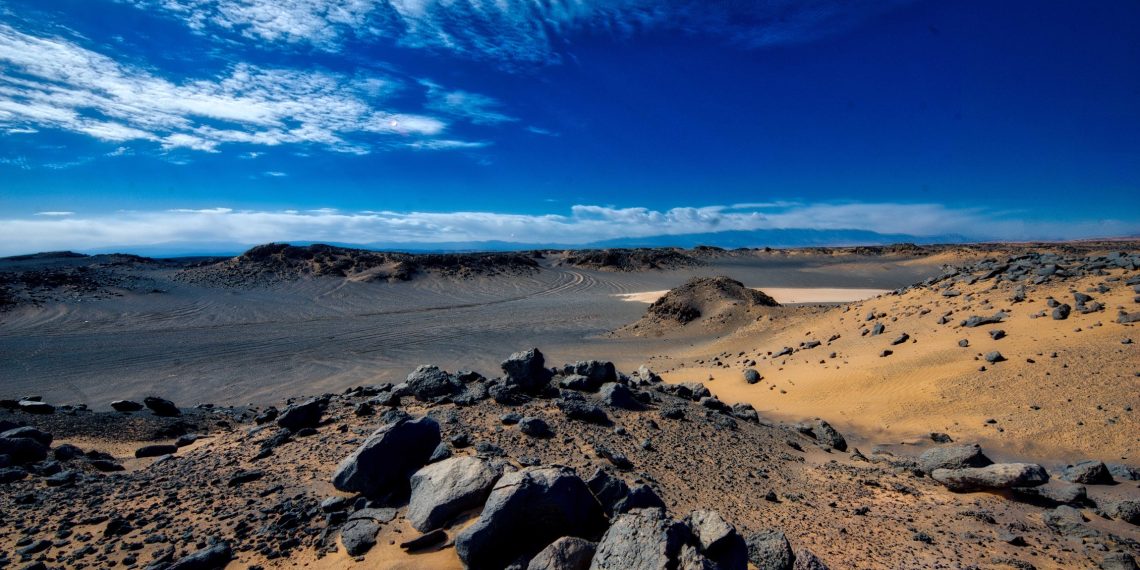 دمای گندم بریان