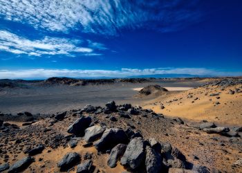 دمای گندم بریان