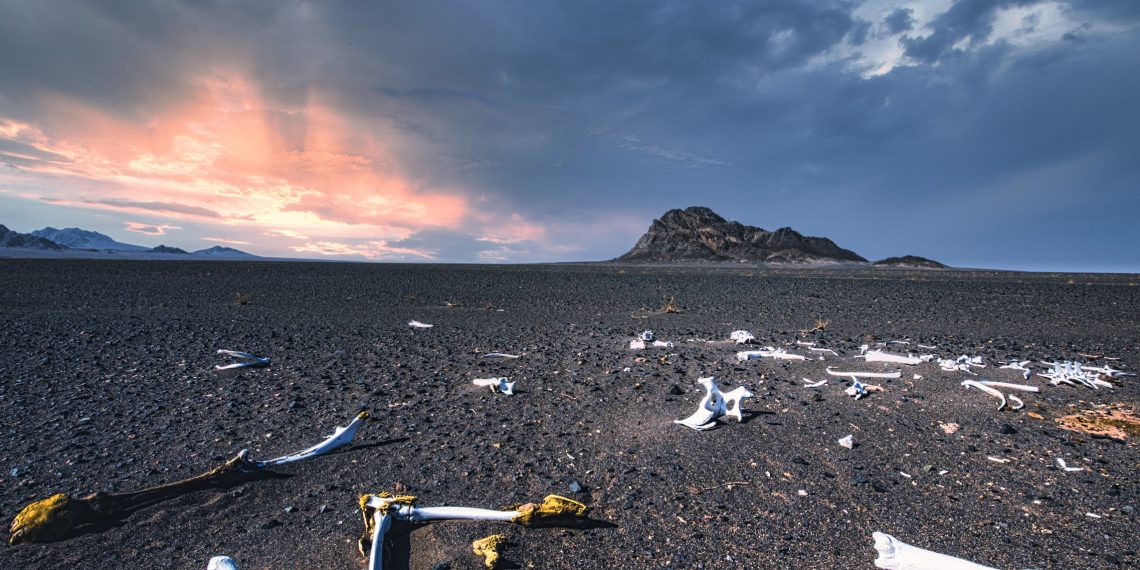 IMG 1570 پایان سفر به بیابان؟