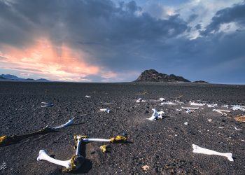 پایان سفر به بیابان؟