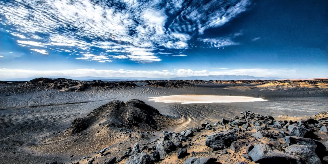 IMG 5304 گندم بریان