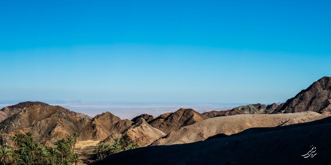 نمایی از پشه کلوت