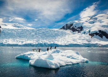 کاربرد میل‌ها در قطب شمال
