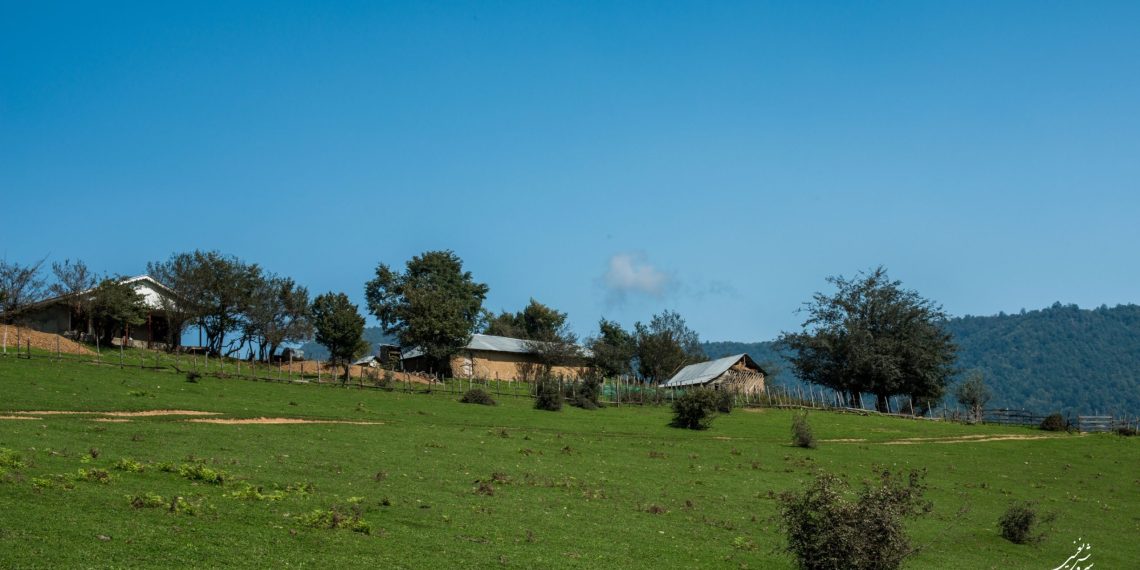 نواحی رویشی گیاهان