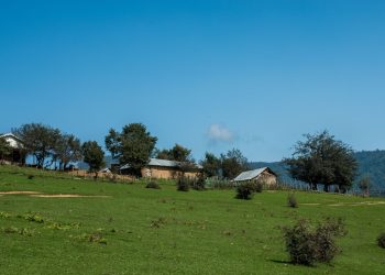 نواحی رویشی گیاهان