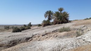 Di11 دیگ رستم