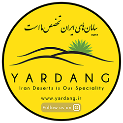 Yardang (Iran Deserts is our Speciality)