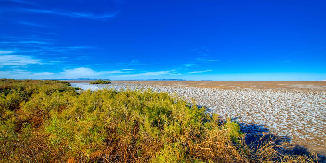 DSC 3992 HDR edit گلوسوزگز