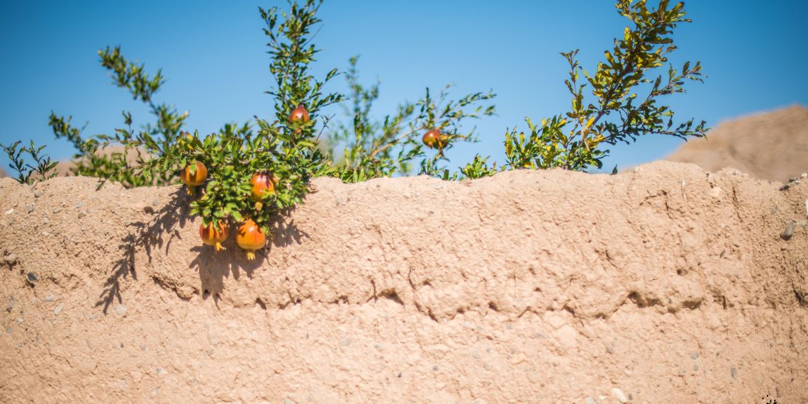 DSC 4834 همکاری در بخش مقالات سایت