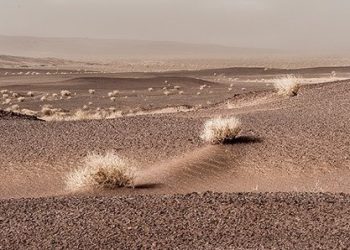 شند علیرضا خان در بیابان لوت شمالی