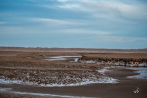 چشمه ریز آب در بیابان بهاباد