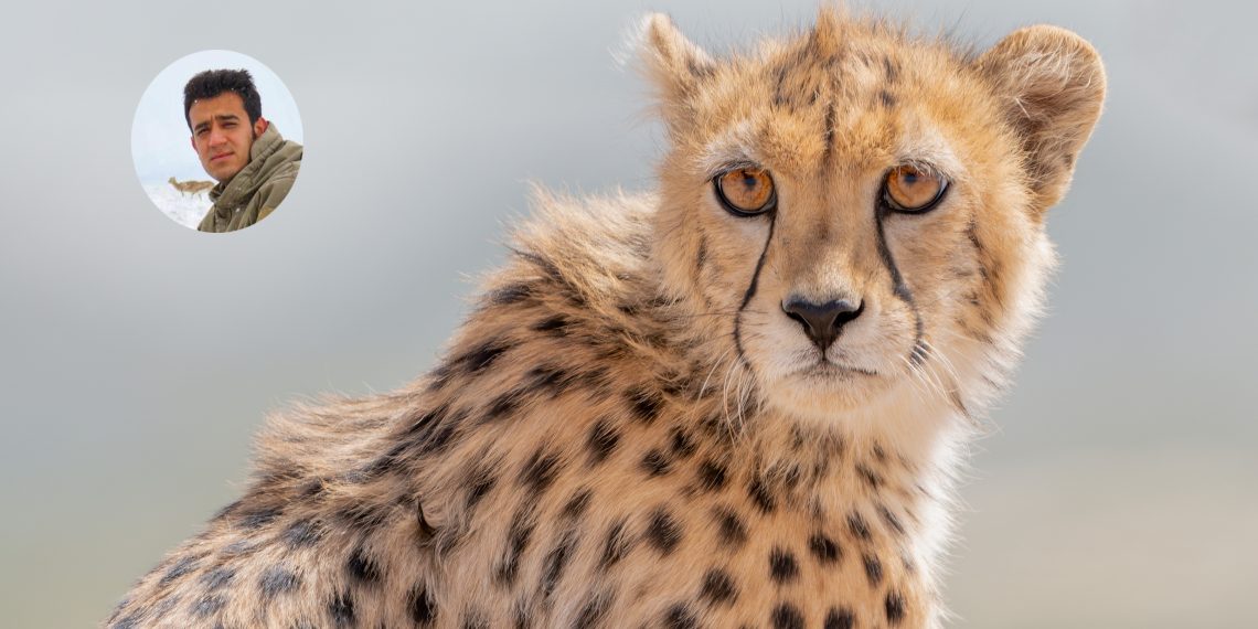 جعفر پناه پور