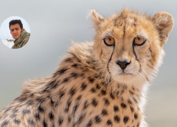 جعفر پناه پور