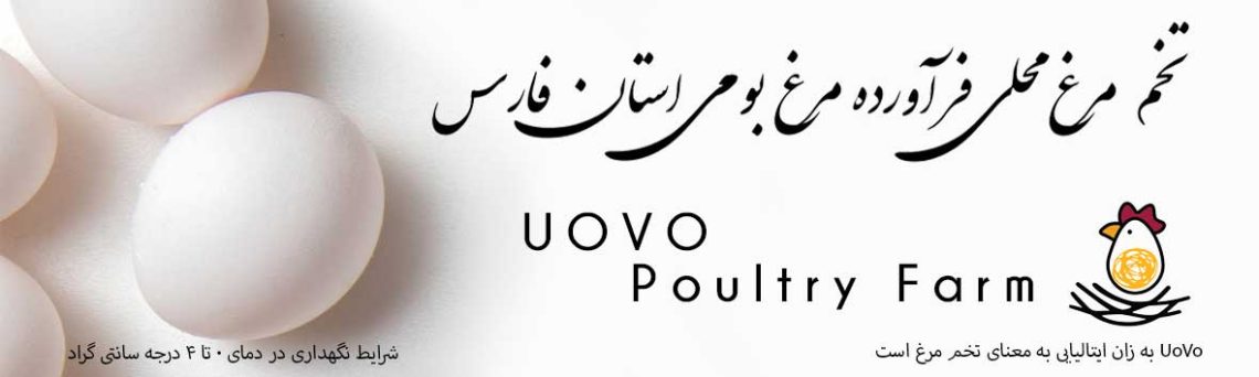 UOVO