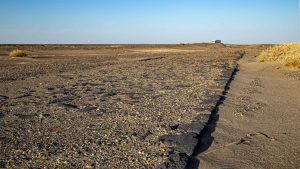 بیابان گرگ در کناره بیابان لوت