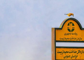 پناهگاه حیات وحش نایبندان