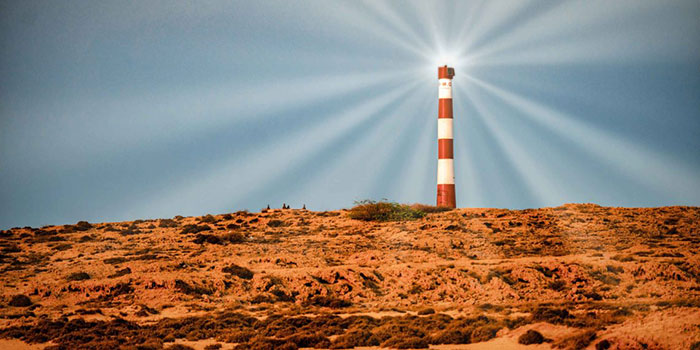 Fanoos خشاب، خشابه، خشابات، خشبات