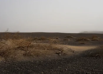 بارسک و باد ریز