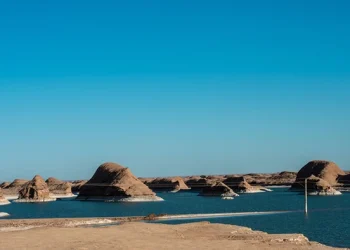 باغ اسد