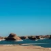 باغ اسد