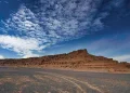 پوزه کال
