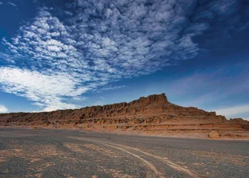 پوزه کال