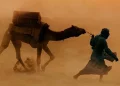Sandstorm Camel باد پناه
