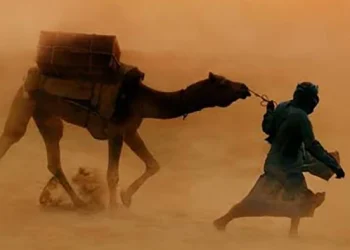 باد پناه