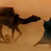 باد پناه