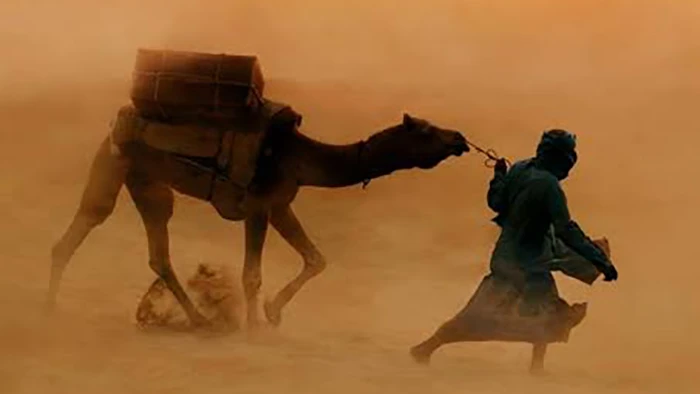 Sandstorm Camel باد پناه