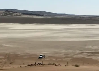 راه شور