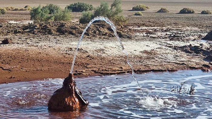Spring C چشمه شتری