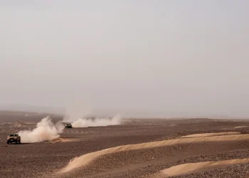 ریپل مارک